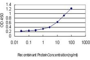 ELISA image for anti-Huntingtin (HTT) (AA 81-190) antibody (ABIN516382)