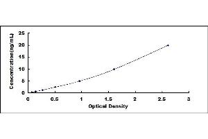 Typical standard curve (NSF ELISA 试剂盒)