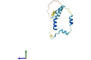 AlphaFold protein structure predicition of Human Recombinant RPS19BP1 Protein, UniprotID Q86WX3