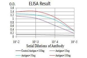 Black line: Control Antigen (100 ng),Purple line: Antigen (10 ng), Blue line: Antigen (50 ng), Red line:Antigen (100 ng) (BRD2 抗体  (AA 227-364))