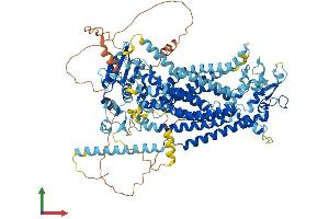 Protein Structure (PS) image for Anoctamin 3 (ANO3) (AA 1-981) protein (His tag) (ABIN7561913)