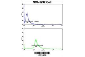 Flow cytometric analysis of NCI-H292 cells using CD201 Antibody (bottom histogram) compared to a negative control cell (top histogram). (PROCR 抗体  (AA 104-132))