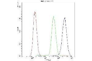 Flow Cytometry analysis of U20S cells using anti-PPID antibody (ABIN5693052). (PPID 抗体  (AA 306-370))