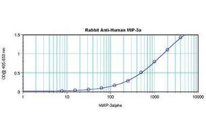 Image no. 3 for anti-Chemokine (C-C Motif) Ligand 20 (CCL20) antibody (ABIN465457) (CCL20 抗体)