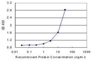 CD86 (Human) Matched Antibody Pair