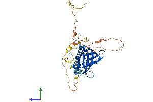 Protein Structure (PS) image for Low Density Lipoprotein Receptor Adaptor Protein 1 (LDLRAP1) (AA 1-308) protein (His tag) (ABIN7552321)