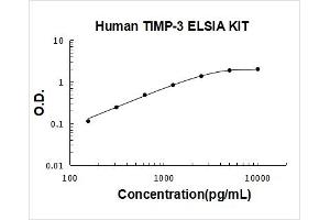 TIMP Metallopeptidase Inhibitor 3 (TIMP3) ELISA Kit