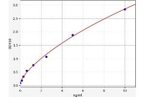 Typical standard curve (SLC25A6 ELISA 试剂盒)