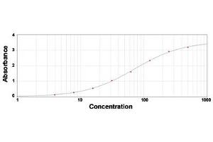 ELISA analysis of C4A polyclonal antibody  under 2 ug/mL working concentration. (Complement C4 抗体)