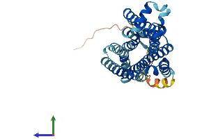 AlphaFold protein structure predicition of Human Recombinant TAAR5 Protein, UniprotID O14804