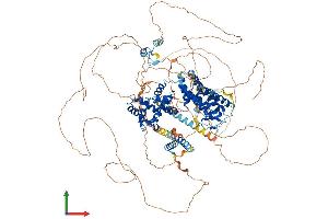 Protein Structure (PS) image for Ring Finger and CCCH-Type Domains 1 (RC3H1) (AA 1-1133) protein (His tag) (ABIN7555130)