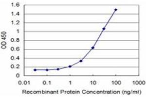Detection limit for recombinant GST tagged MEF2A is approximately 1ng/ml as a capture antibody. (MEF2A 抗体  (AA 71-170))