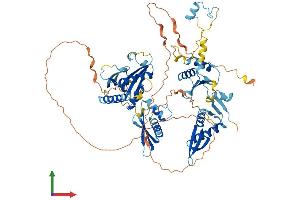 Protein Structure (PS) image for NFKB Repressing Factor (NKRF) (AA 1-690) protein (His tag) (ABIN7564458)