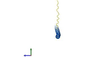 AlphaFold protein structure predicition of Human Recombinant HSBP1 Protein, UniprotID O75506