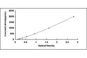 Typical standard curve (BMP2 ELISA 试剂盒)