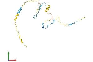 Protein Structure (PS) image for G Substrate (Gsbs) (AA 1-155) protein (His tag) (ABIN7550887)