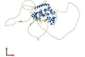 Protein Structure (PS) image for Cyclin-Dependent Kinase-Like 3 (CDKL3) (AA 1-595) protein (His tag) (ABIN7558739)