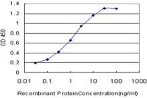 Detection limit for recombinant GST tagged LHX4 is approximately 0. (LHX4 抗体  (AA 208-306))