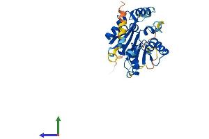 Protein Structure (PS) image for BCDIN3 Domain Containing (BCDIN3D) (AA 1-292) protein (His tag) (ABIN7552878)