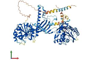 Protein Structure (PS) image for Chondroitin Sulfate Synthase 1 (CHSY1) (AA 1-802) protein (His tag) (ABIN7553433)