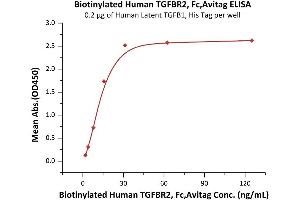 ELISA image for Transforming Growth Factor, beta Receptor II (70/80kDa) (TGFBR2) (AA 23-159) (Active) protein (Fc Tag,AVI tag,Biotin) (ABIN6973281)