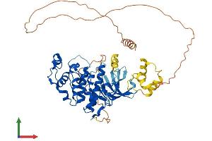 Protein Structure (PS) image for Cyclin-Dependent Kinase 16 (CDK16) (AA 1-496) protein (His tag) (ABIN7553270)