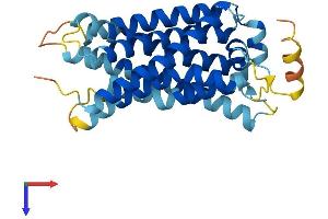 AlphaFold protein structure predicition of Mouse Recombinant Mrgpra6 Protein, UniprotID Q91ZC6 (Mrgpra6 Protein (AA 1-301) (His tag))