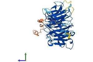 Protein Structure (PS) image for WD Repeat Domain 89 (WDR89) (AA 1-387) protein (His tag) (ABIN7545168)