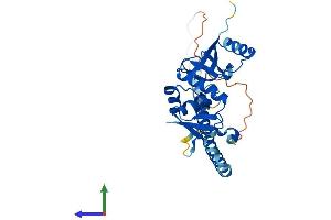 Protein Structure (PS) image for tRNA Splicing Endonuclease 34 Homolog (TSEN34) (AA 1-310) protein (His tag) (ABIN7555487)