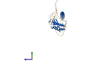 Protein Structure (PS) image for RAB3A Interacting Protein (Rabin3)-Like 1 (RAB3IL1) (AA 1-383) protein (His tag) (ABIN7559875)
