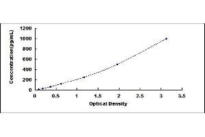 Typical standard curve (FGF9 ELISA 试剂盒)