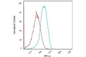 Flow Cytometric Analysis of Human HEK293 cells using KSP-Cadherin Recombinant Rabbit Monoclonal Antibody (CDH16/1532R) followed by Goat anti-rabbit IgG-CF488 (Blue); Isotype Control (Red). (Recombinant Cadherin-16 抗体)