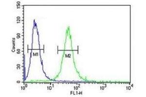 GATA2 antibody flow cytometric analysis of 293 cells (green) compared to a negative control (blue). (GATA2 抗体  (AA 262-288))