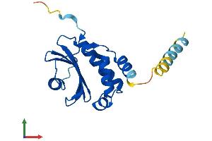 Protein Structure (PS) image for Coatomer Protein Complex, Subunit zeta 1 (COPZ1) (AA 1-177) protein (His tag) (ABIN7546682)