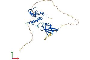 Protein Structure (PS) image for BMI1 Polycomb Ring Finger Oncogene (BMI1) (AA 1-324) protein (His tag) (ABIN7563011)