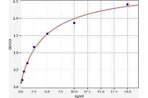 Typical standard curve (ERBB4 ELISA 试剂盒)