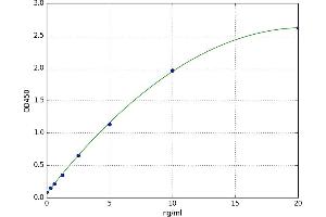 A typical standard curve (ACSS1 ELISA 试剂盒)