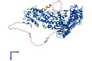 KDM1B Protein (AA 1-826) (His tag)