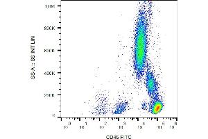 Flow Cytometry (FACS) image for anti-Protein tyrosine Phosphatase, Receptor Type, C (PTPRC) antibody (FITC) (ABIN94129)