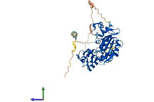 AlphaFold protein structure predicition of Mouse Recombinant Hs3st2 Protein, UniprotID Q673U1