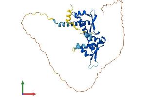 Protein Structure (PS) image for Melanoma Antigen Family A, 8 (MAGEA8) (AA 1-318) protein (His tag) (ABIN7549175)