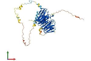 AlphaFold protein structure predicition of Mouse Recombinant Pwp1 Protein, UniprotID Q99LL5