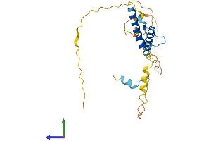 AlphaFold protein structure predicition of Human Recombinant HAND1 Protein, UniprotID O96004