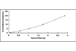 Typical standard curve (HDLBP ELISA 试剂盒)