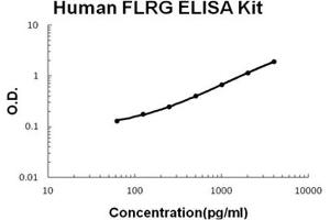 FSTL3 ELISA 试剂盒