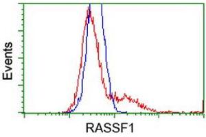 HEK293T cells transfected with either RC213525 overexpress plasmid (Red) or empty vector control plasmid (Blue) were immunostained by anti-RASSF1 antibody (ABIN2454272), and then analyzed by flow cytometry. (RASSF1 抗体)