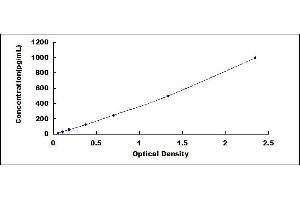Typical standard curve (VEGFB ELISA 试剂盒)