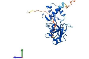 Protein Structure (PS) image for tRNA Phosphotransferase 1 (TRPT1) (AA 1-249) protein (His tag) (ABIN7559541)