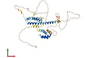 Protein Structure (PS) image for PBX/knotted 1 Homeobox 1 (PKNOX1) (AA 1-436) protein (His tag) (ABIN7562553)