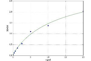 A typical standard curve